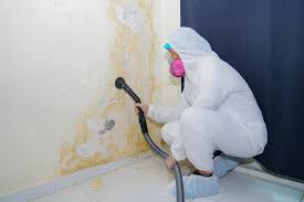 Best Comprehensive Air Testing for Mold Contaminants  in Port St John, FL